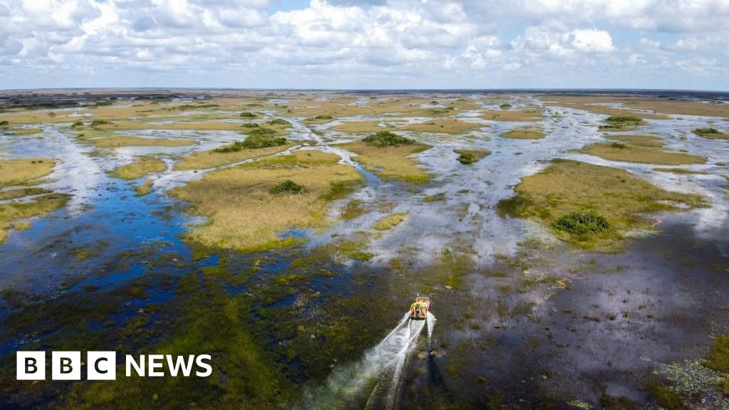 Featured image for Florida Constructs 'Alligator Alcatraz' Migrant Detention Center in Everglades