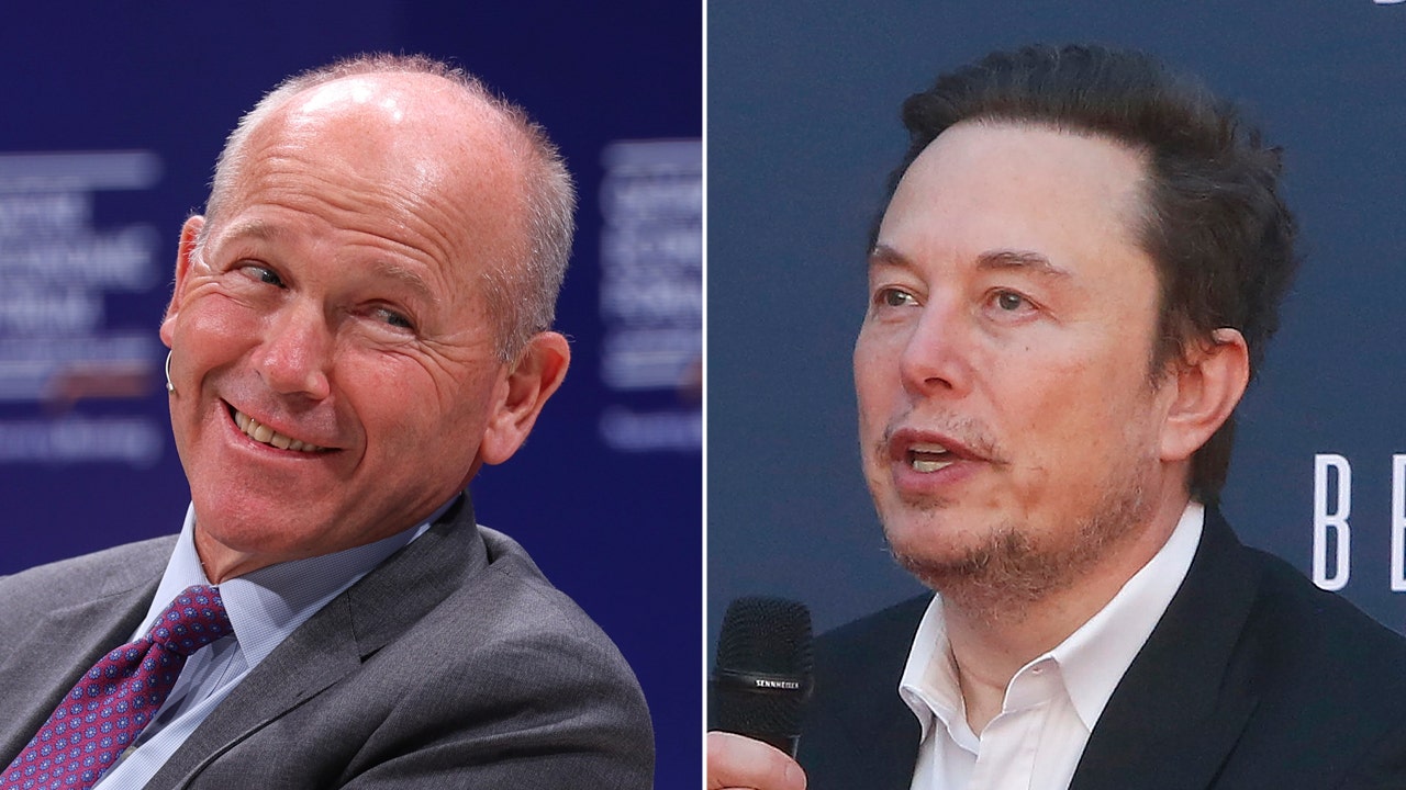 Elon Musk Sparks Controversy with Comments on DEI Hiring and Racist Tweets