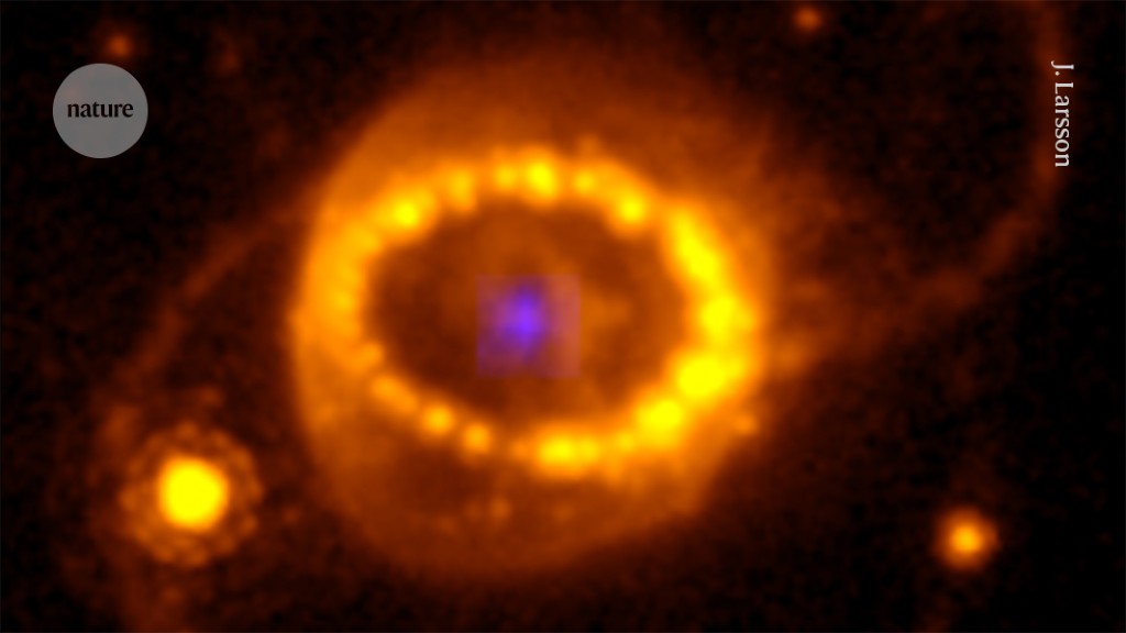 "JWST Unravels Decades-Long Supernova Mystery"