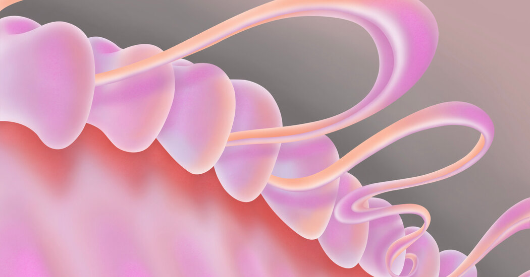 Featured image for "Protect Your Smile: Recognizing Gum Disease and Preventing Its Progression"