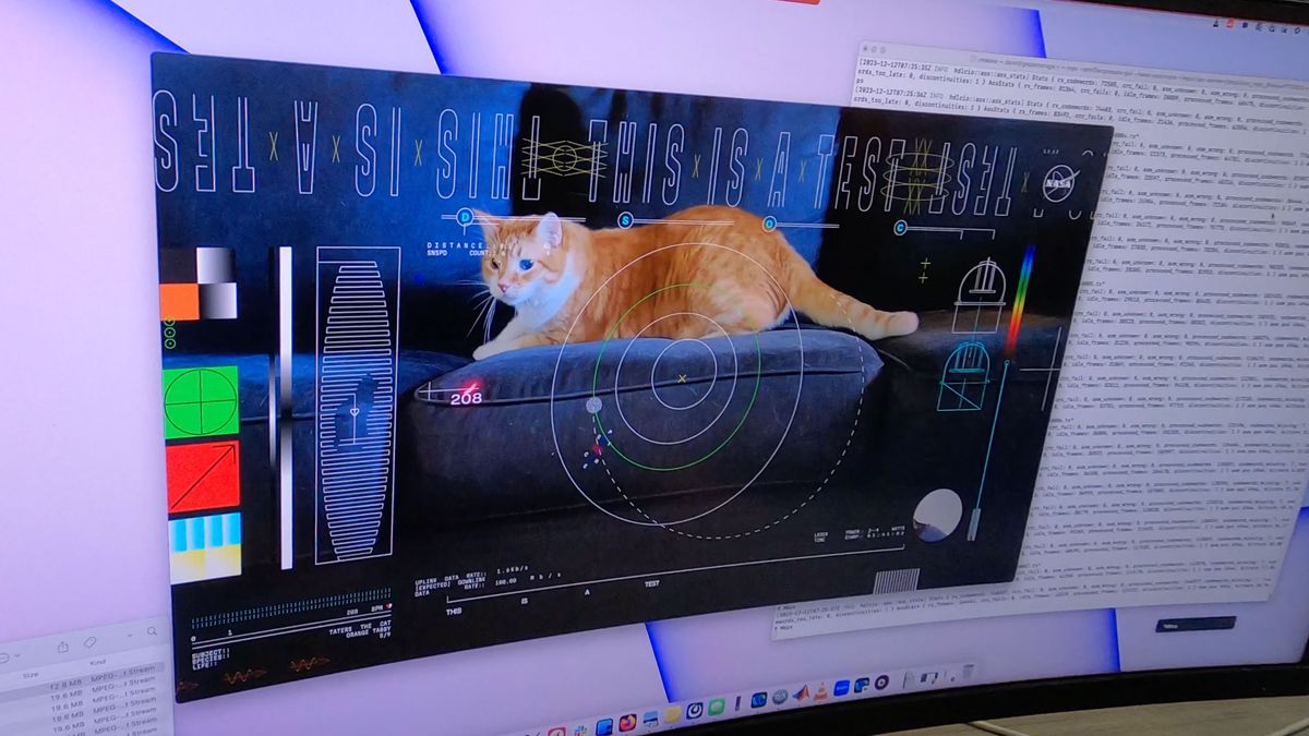 Featured image for NASA Beams Adorable Cat Video from Deep Space to Earth