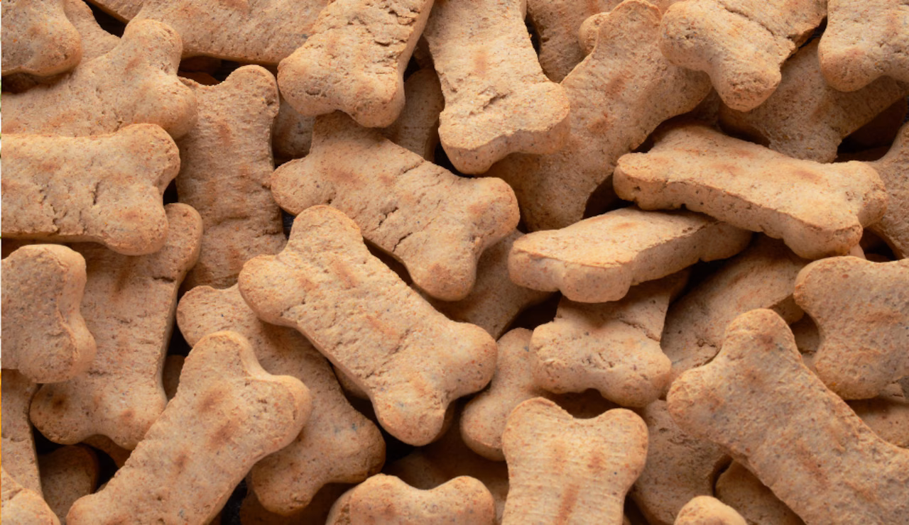 Featured image for Urgent Recall: Contaminated Dog Treats Sold in 19 States