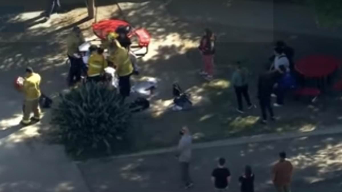 "Violence erupts at Van Nuys High School as multiple students stabbed, campus on lockdown"