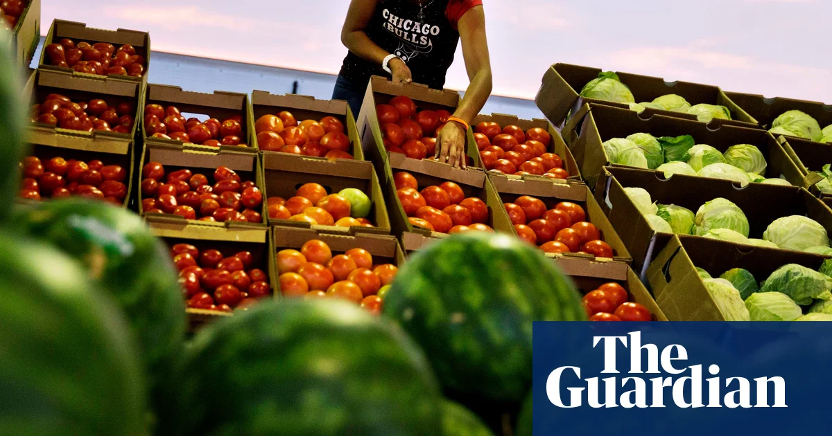 FDA Issues Urgent Tomato Recall Over Salmonella Risk in Multiple States