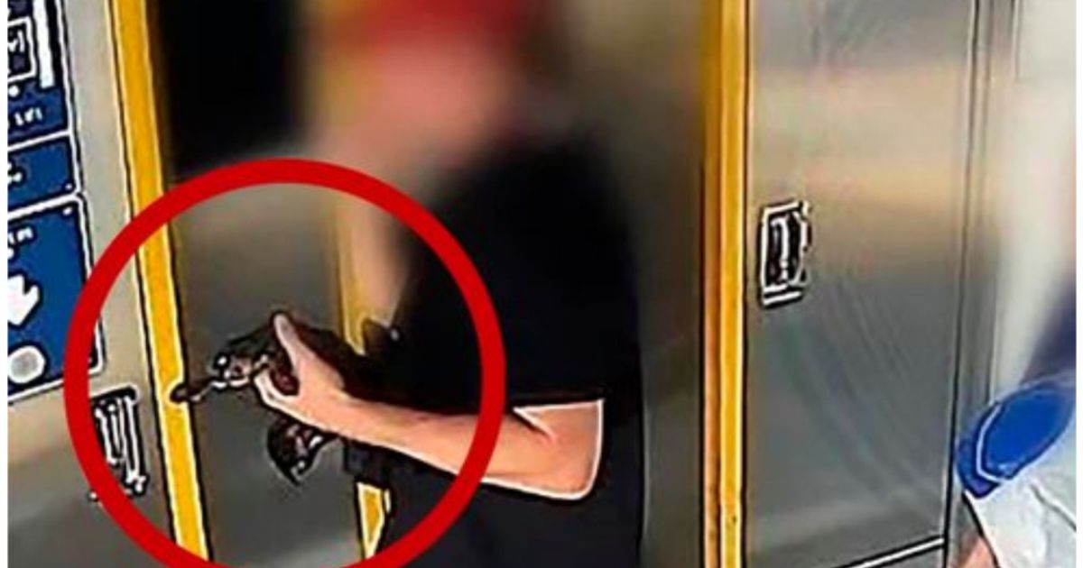 Featured image for Man Arrested for Taking Wild Platypus on Train Ride and Shopping Spree in Australia