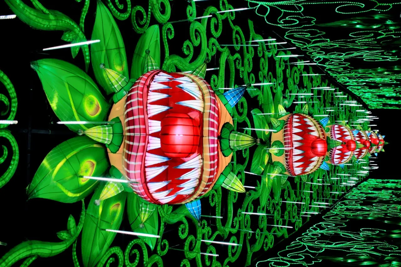 Featured image for Weekend Events in Colorado: July 28-30, 2023