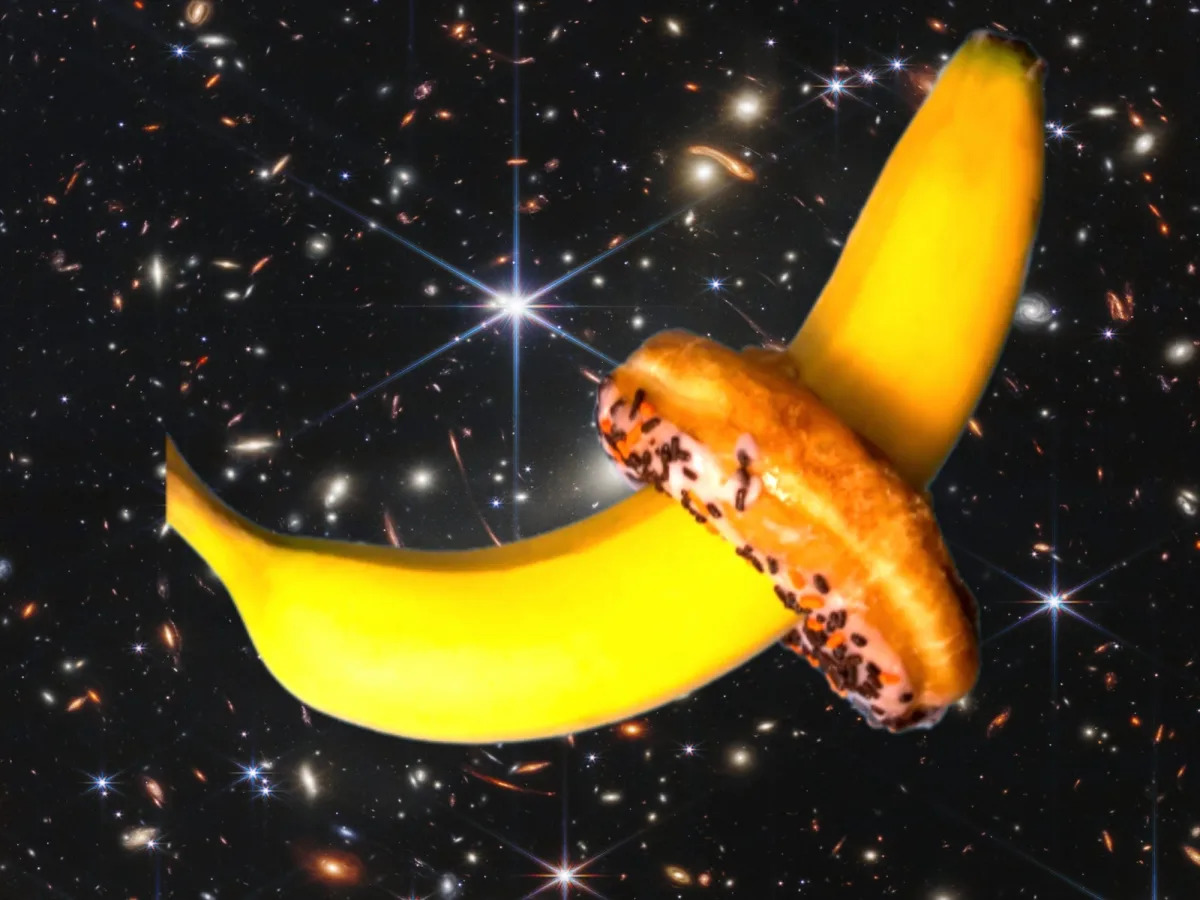 "Researchers Warn: Space Tourists Should Avoid Pregnancy During Intimate Space Encounters"