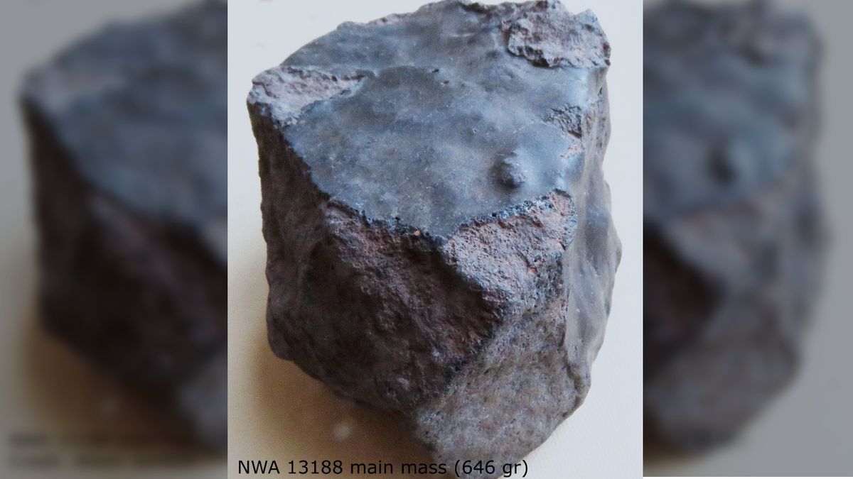 "Rare 'Boomerang Meteorite' Found in Sahara Desert: Earth's First Cosmic Return"