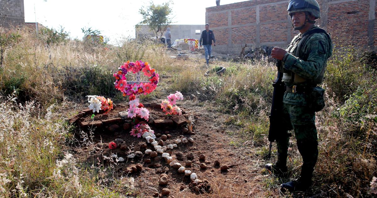 "Disturbing Discovery: Dogs Found Feeding on Human Remains at Suspected Secret Burial Ground in Mexico"