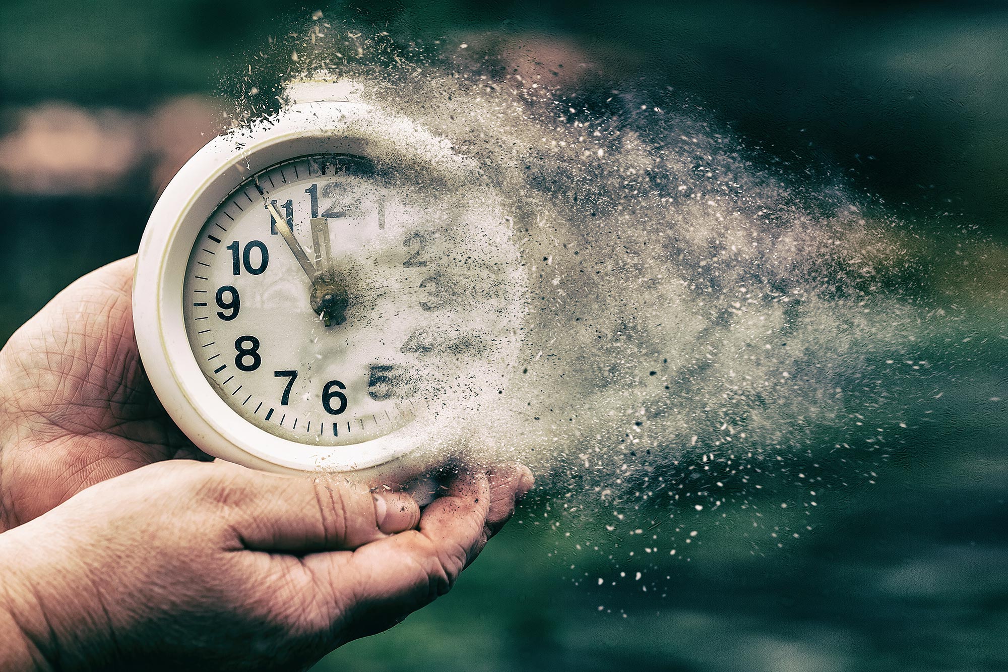 Featured image for Dog Molecules May Hold Keys to Human Longevity