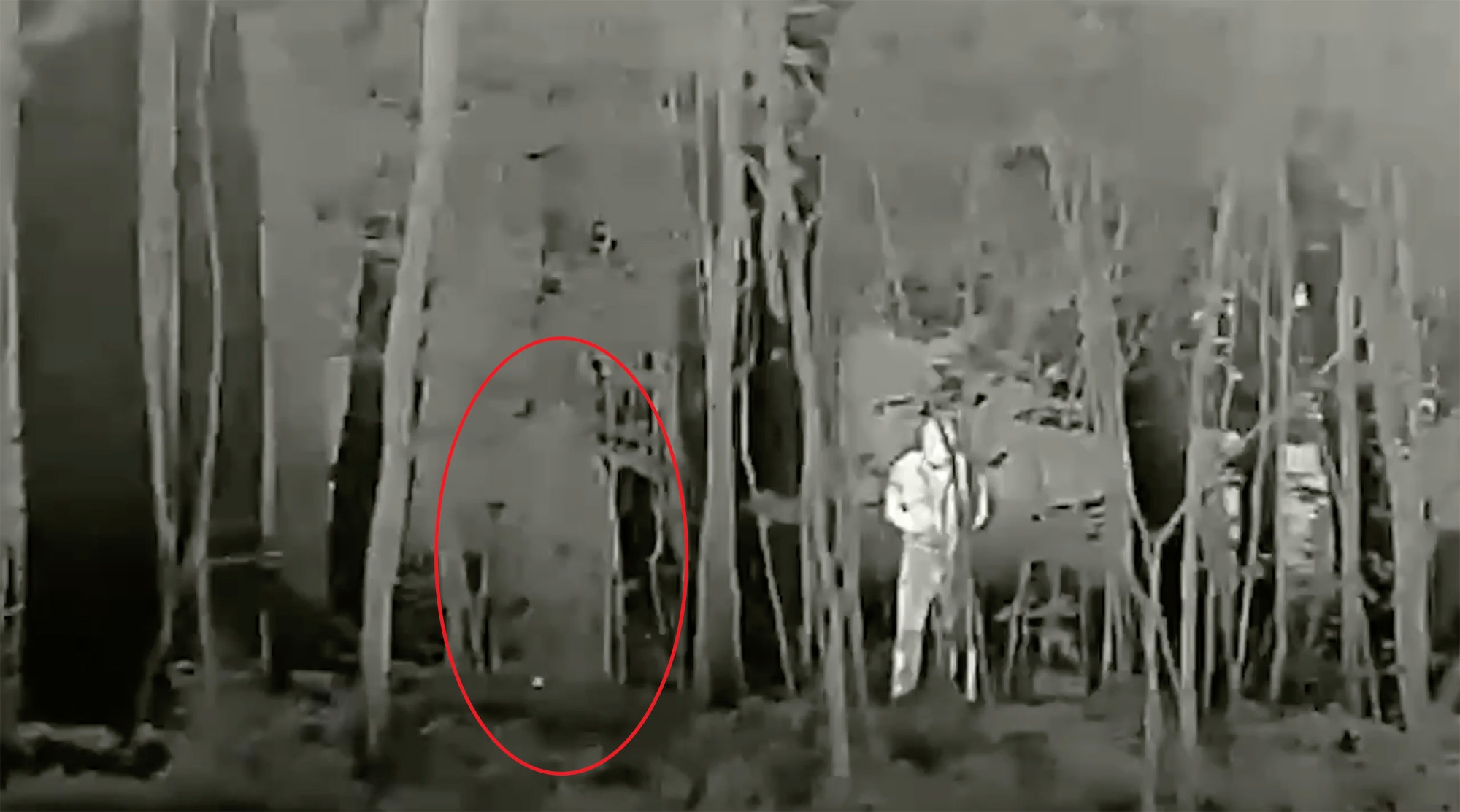 Featured image for "Kremlin's 'Invisibility Cloak' Could Make Russian Troops Vanish"