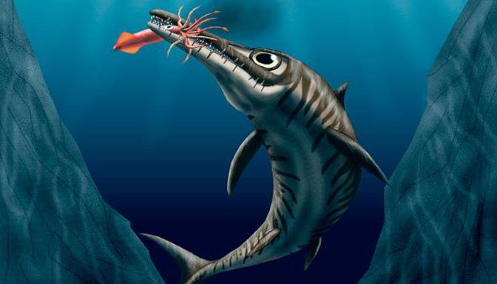 Featured image for Ancient Marine Reptile Unearthed After 240 Million Years