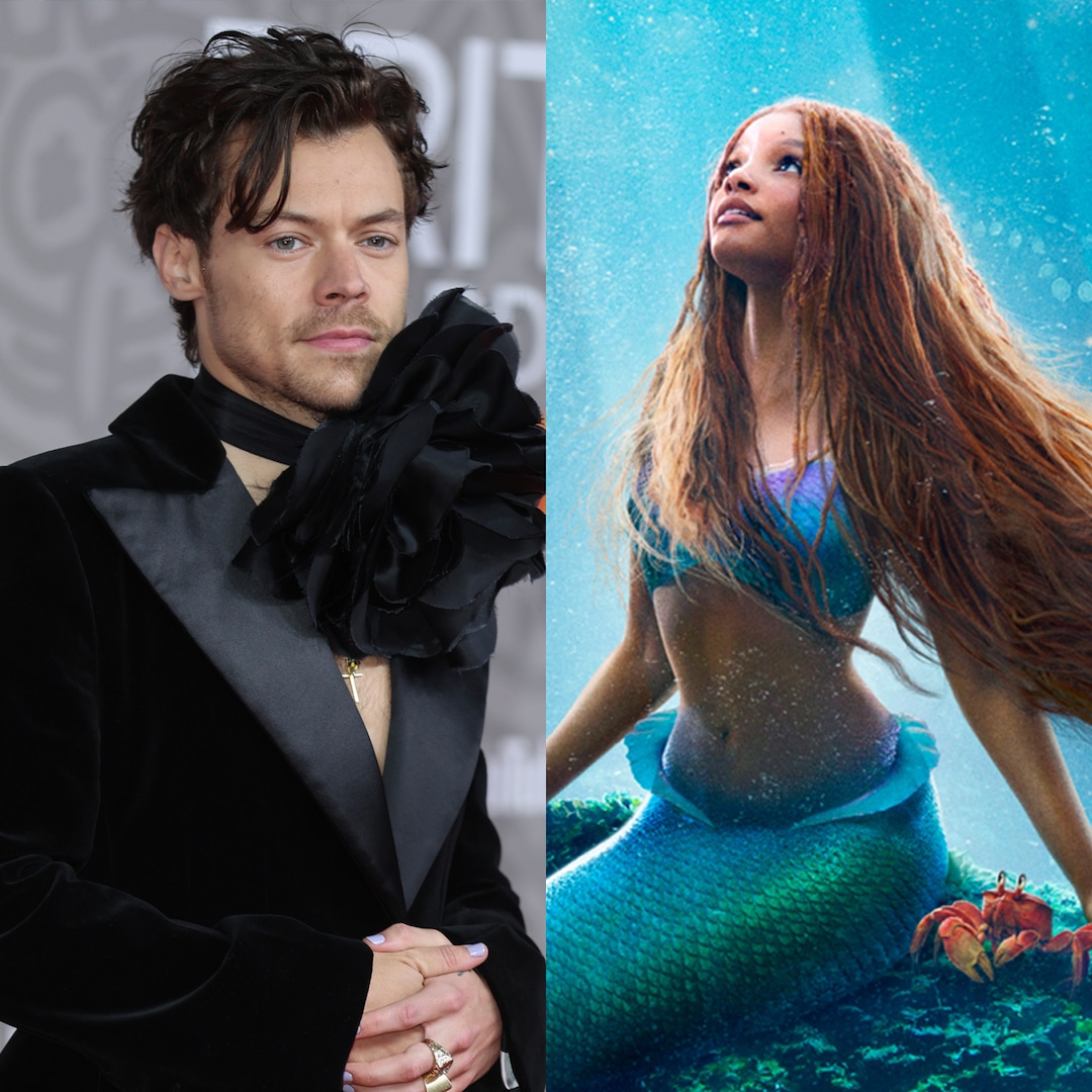 Why Harry Styles Turned Down Little Mermaid's Prince Eric Role for Darker Movies