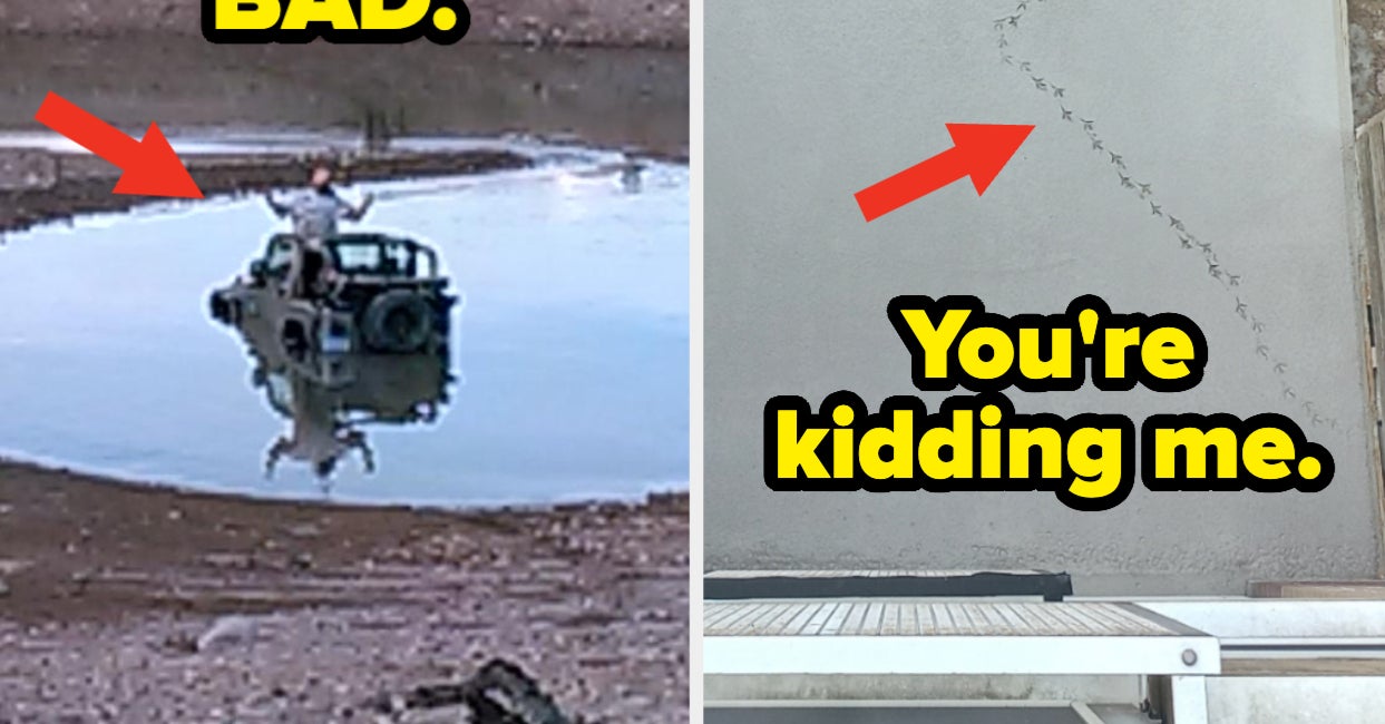 Featured image for "19 People Who Had a Much Worse Week Than You"