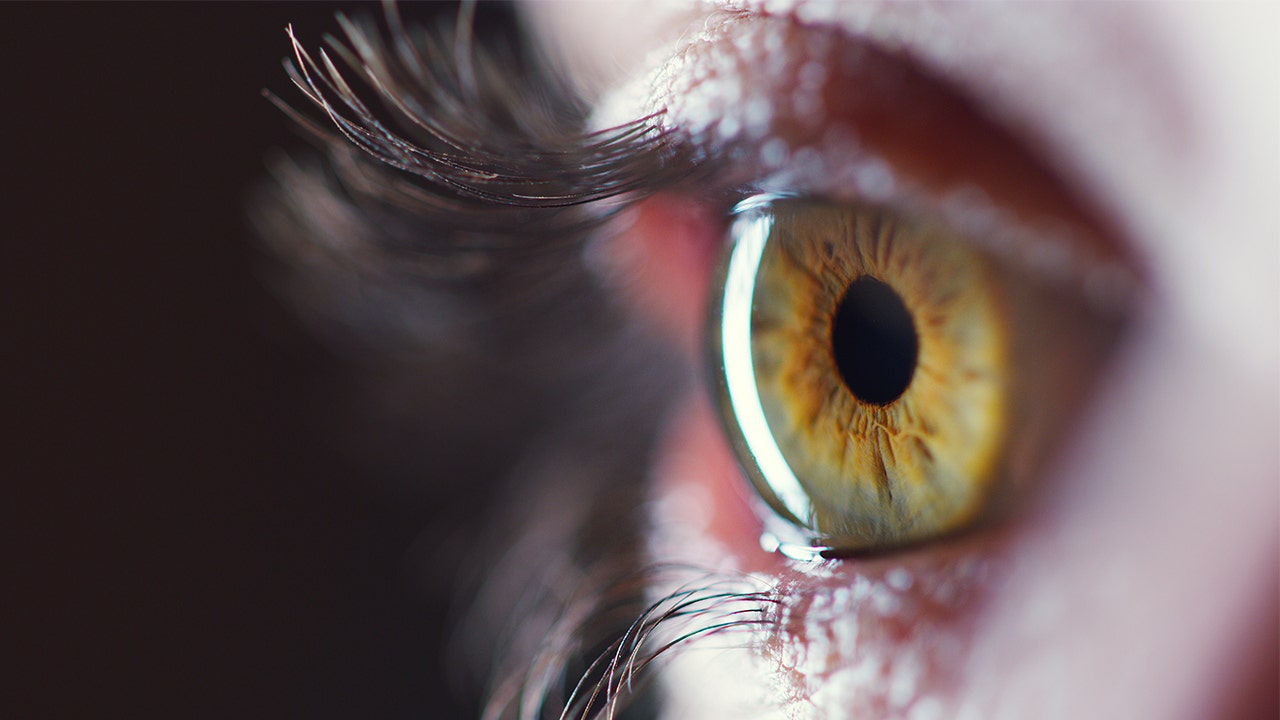 FDA discovers sterilization and contamination issues at Global Health Pharma's eye drop facility.