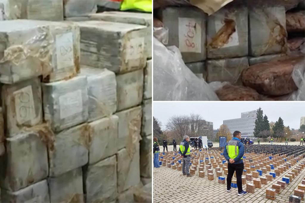 Featured image for Massive Cocaine Bust: Spanish Police Seize 7.5 Tons Hidden in Frozen Tuna