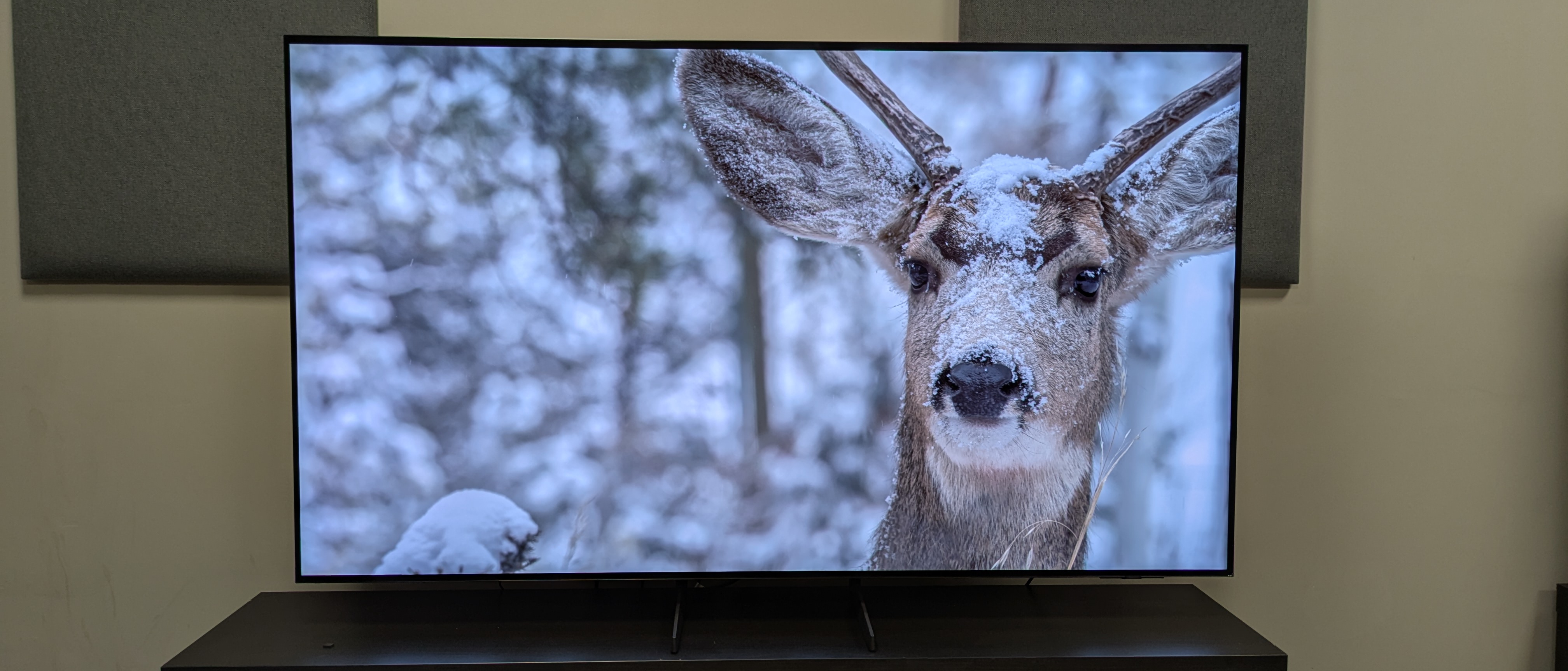 Featured image for Samsung Unveils Affordable, Feature-Rich OLED and Neo QLED 2025 TVs with Enhanced Picture Quality