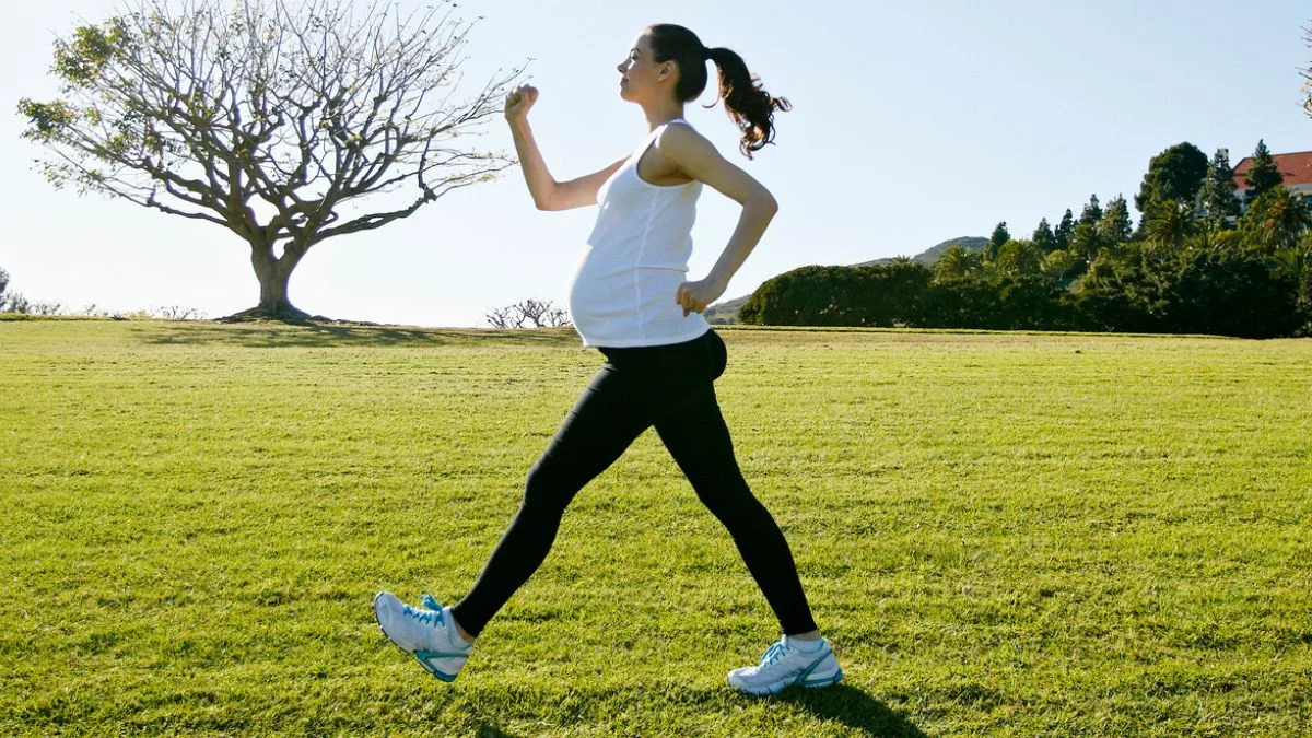 Evolution’s Hidden Secrets: Why the Female Form Remains a Puzzle