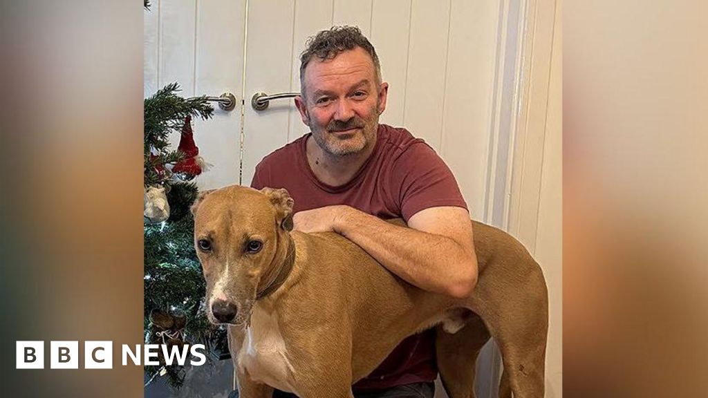 Featured image for Rescued 'Gentle Giant' Dog Finds New Home After Three Years in Kennels