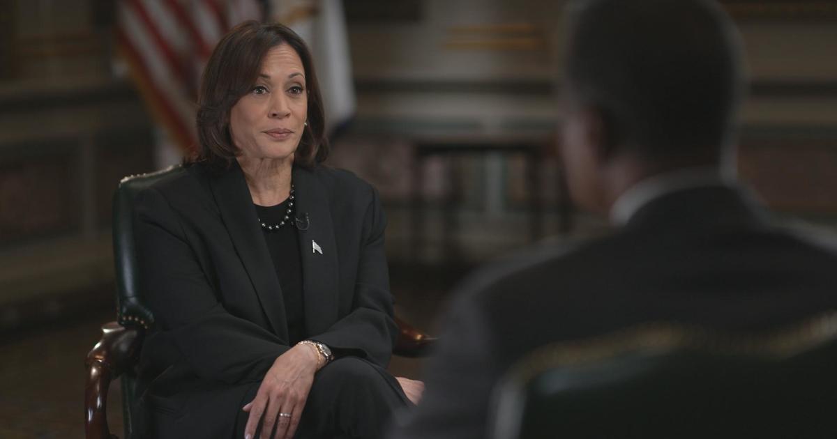 "Kamala Harris: Key Issues and the 2024 Election"