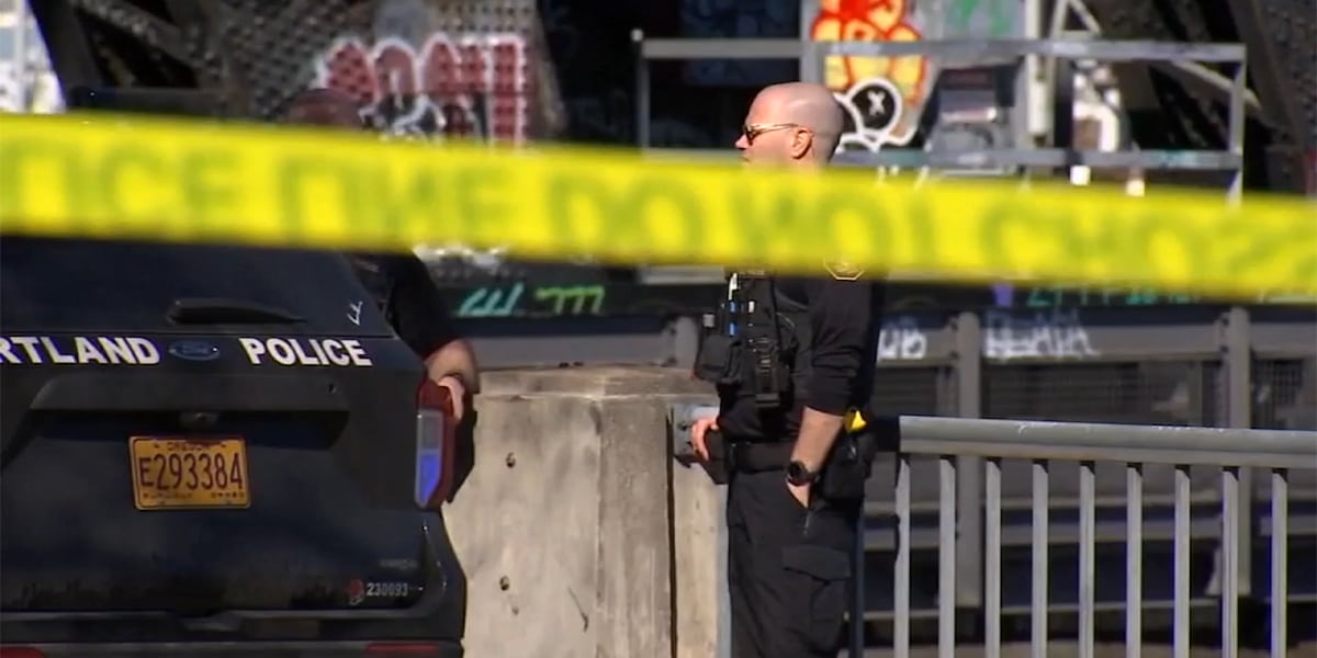 "Release of Suspect in Fatal Steel Bridge Stabbing Sparks Controversy"