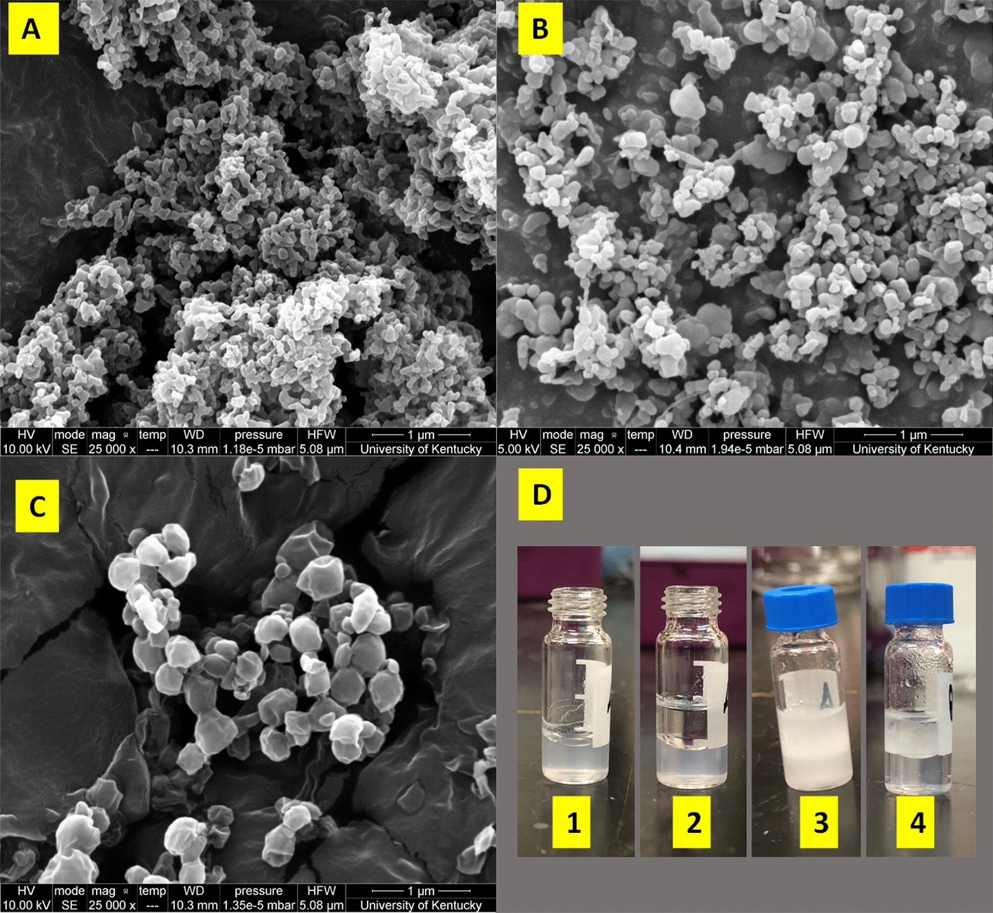 "Eco-Friendly Magnetic Solution to Combat Microplastics"