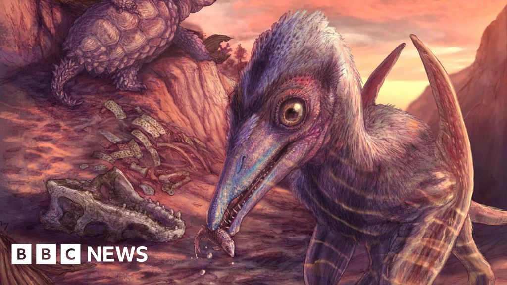 Featured image for Ancient Pterosaur Fossil Discovered in North America