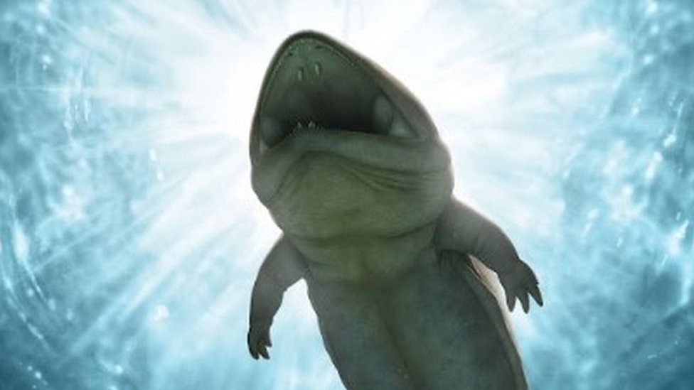 Featured image for "Ancient Australian Discovery: Unearthing a Lizard-Like Species"