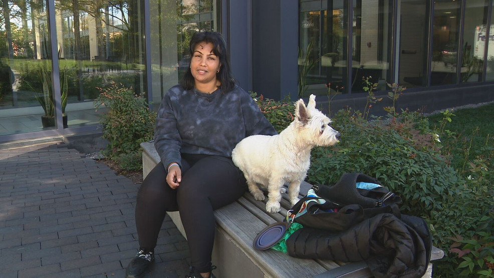 Featured image for Beloved Dog Stolen at Gunpoint Reunited with Owner