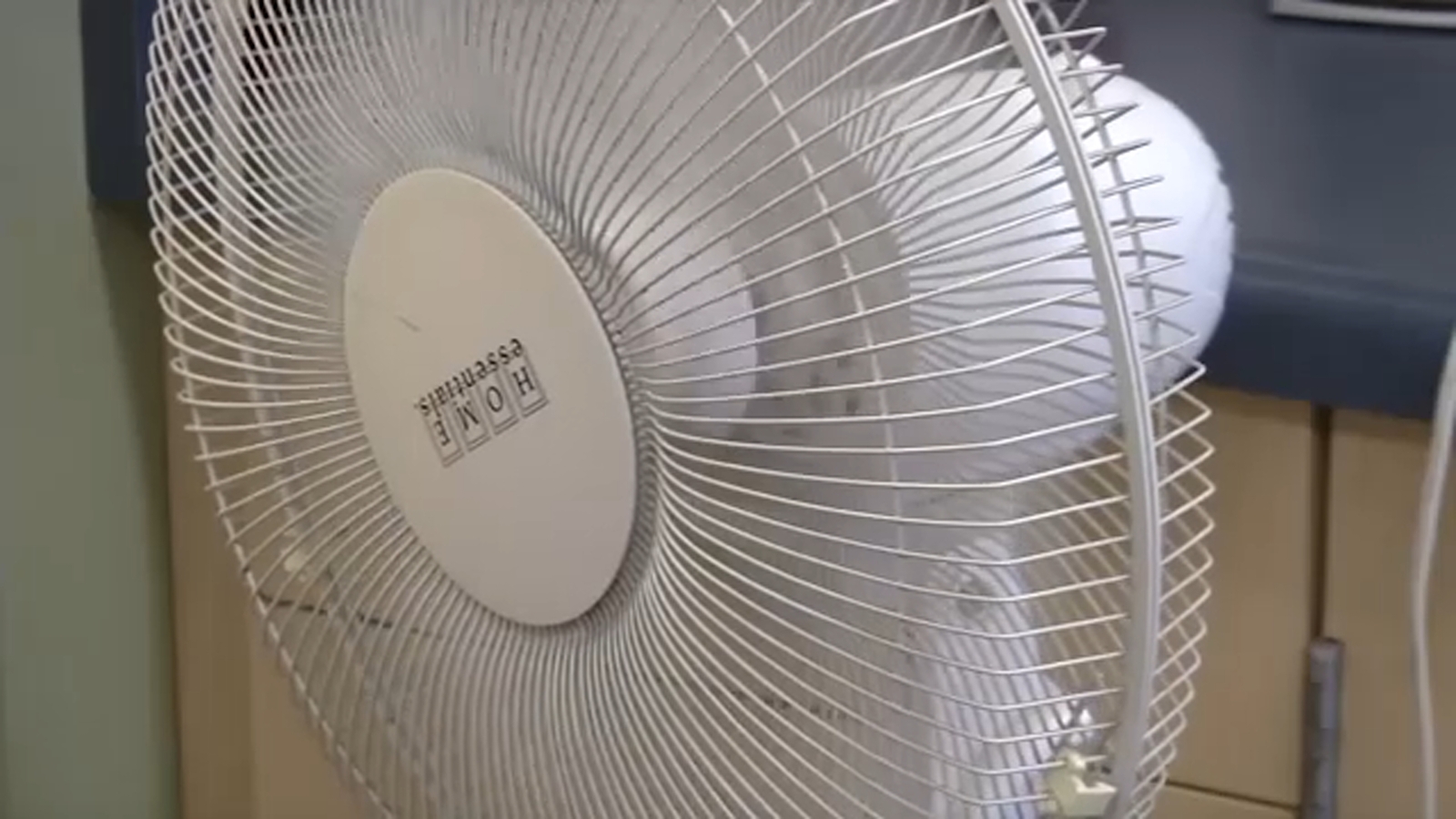 Featured image for Researchers Warn of Hidden Health Risks of Using Fans During Heat Waves