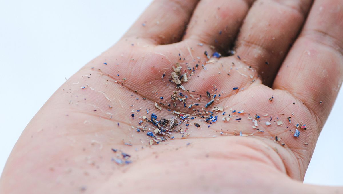 Microplastics Uncovered in Human Hearts, Raising Health Concerns