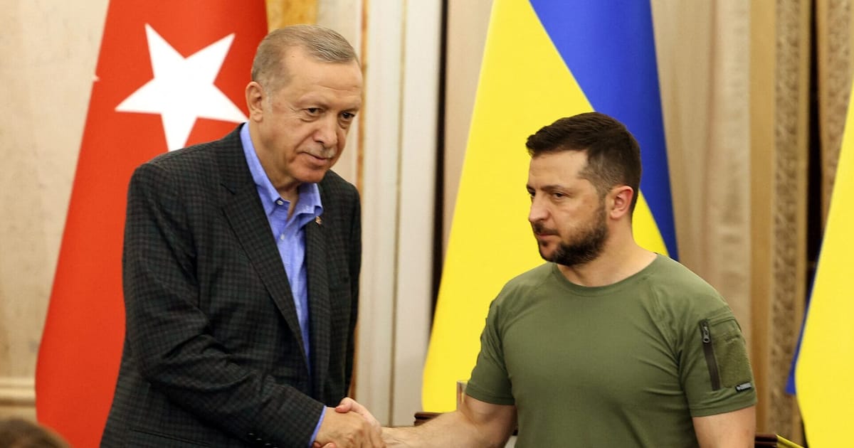 Erdoğan Supports Ukraine's NATO Bid, Expects Putin's Visit to Turkey