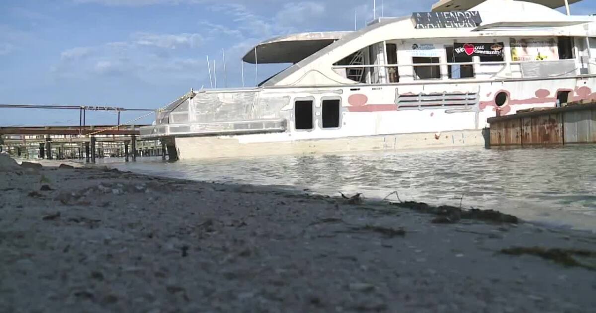 Featured image for "From Yacht to Reef: Boosting Rare Coral in St. Lucie County"