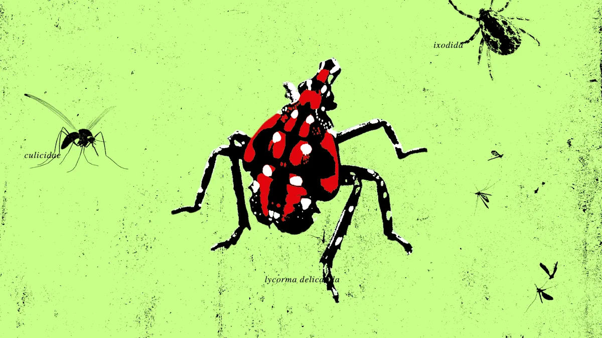 Insect Infestation Frenzy: Battling Tick, Mosquito, and Spotted Lanternfly Outbreaks