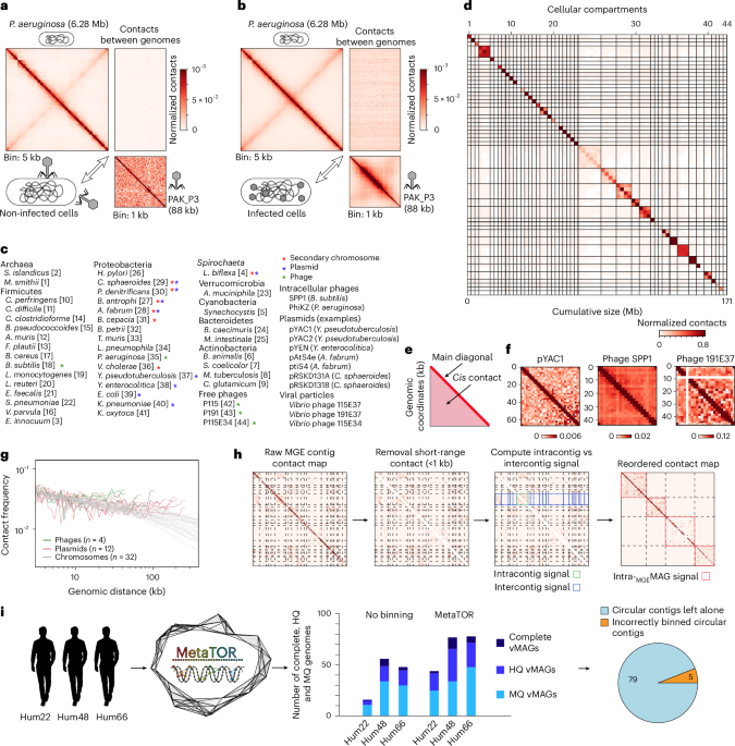 Featured image for Broad host range phages are widespread across ecosystems