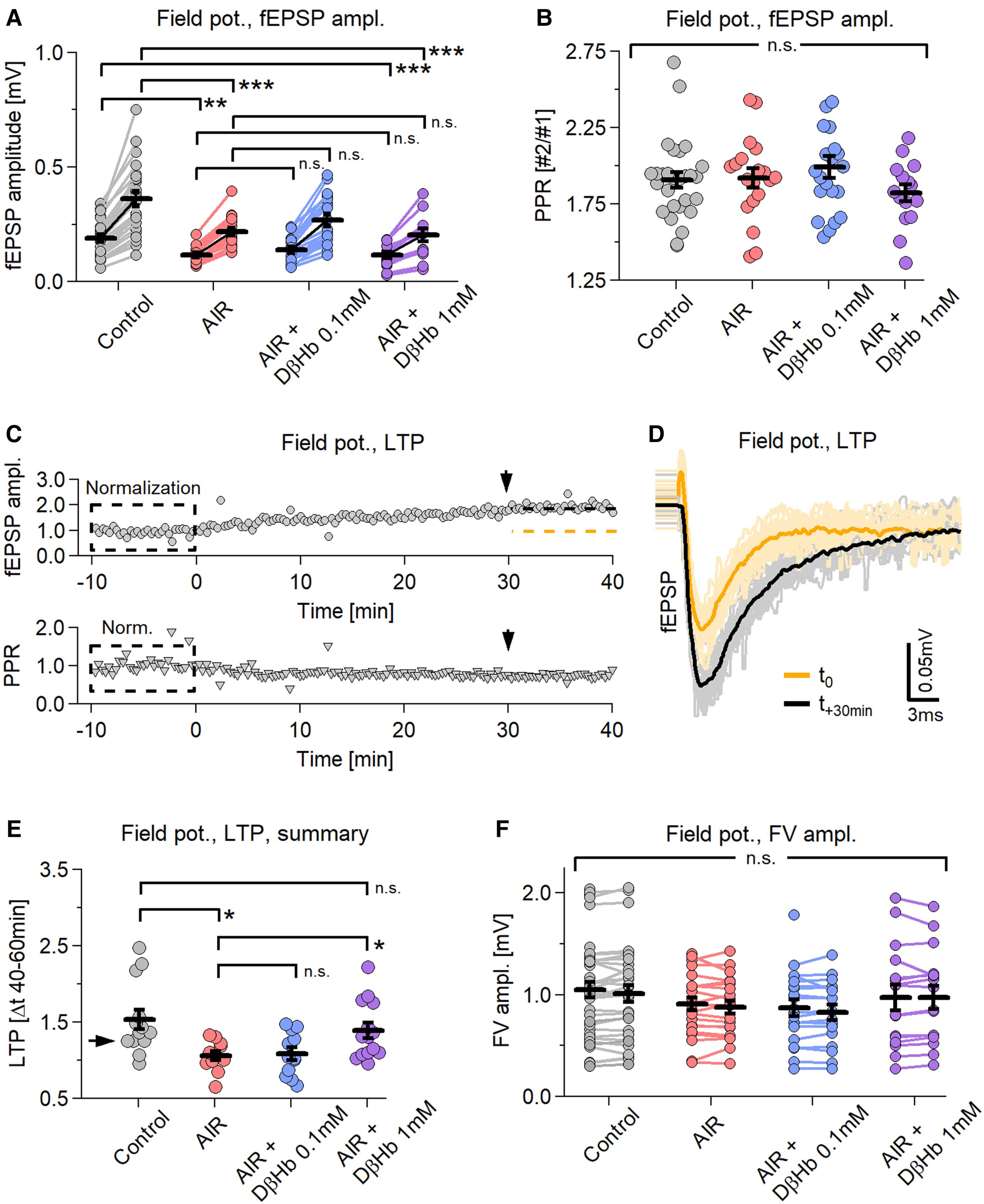 "Ketones Boost Brain Function and Protect Neural Networks, Study Finds"