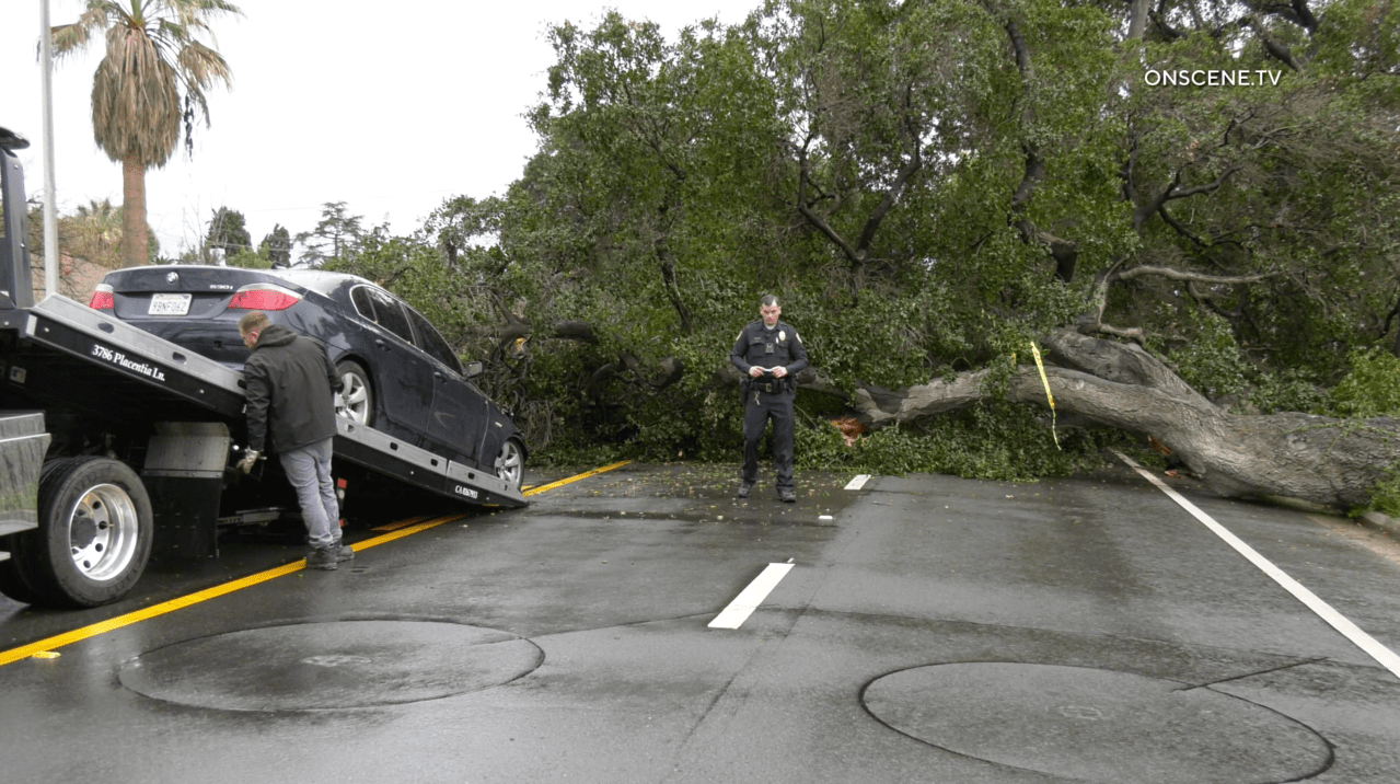 Featured image for "Extreme Weather Strikes Southern California: Massive Tree Falls on Driver, Flash Flood Warning Issued, and More"