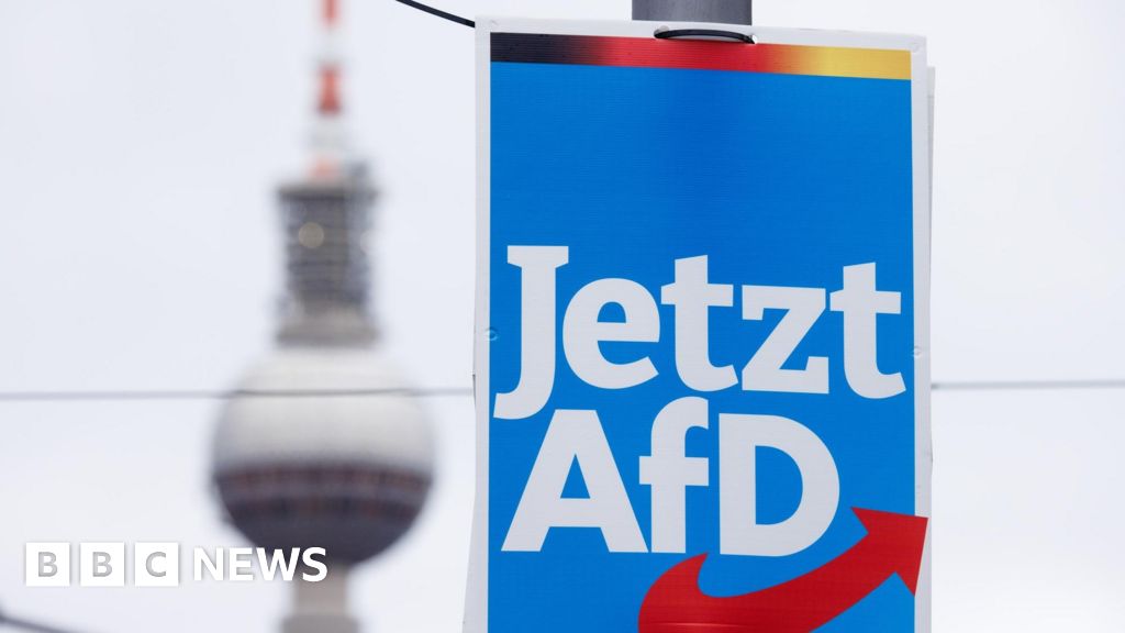 "Far-Right German and Austrian Extremists' Secret Meeting on Mass Deportation Plan"
