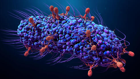 Featured image for New Space-Found Microbe Could Revolutionize Exploration