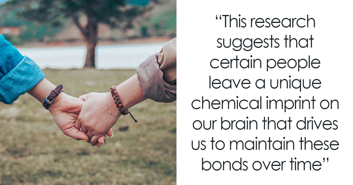 Featured image for "Neurological Impact of Orgasms in Monogamous Relationships"