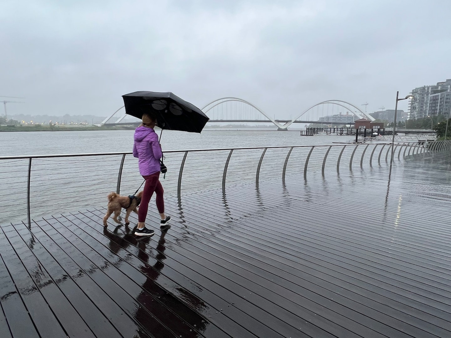 Featured image for Weather Update: Rainy Start to Fall Weekend in D.C. and New England