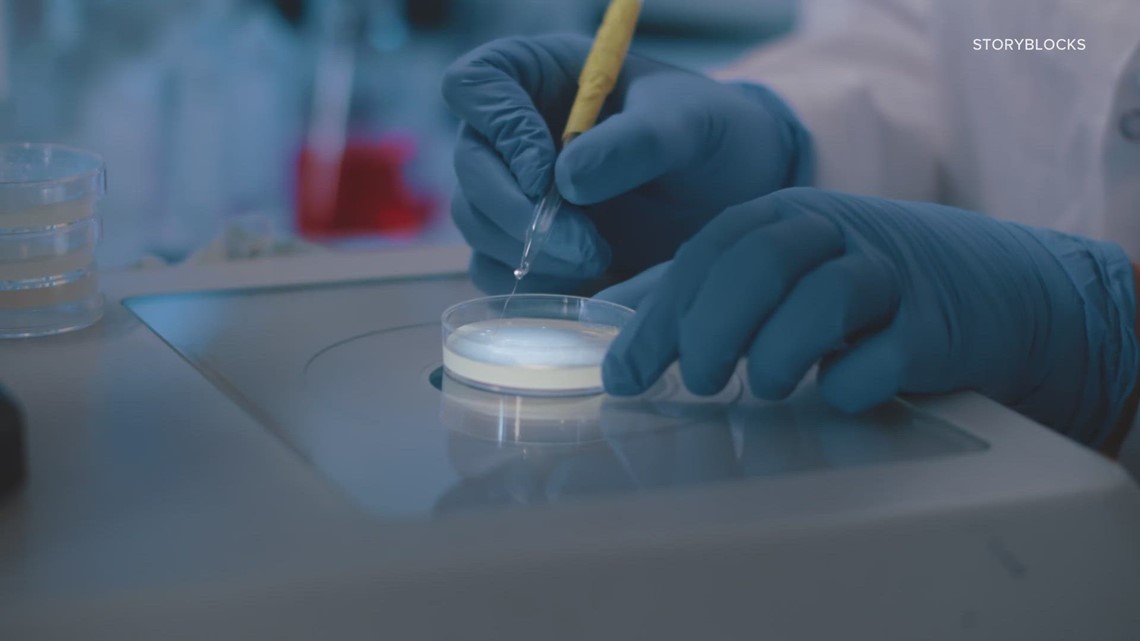 Georgia hit by deadly fungus resistant to common anti-fungals