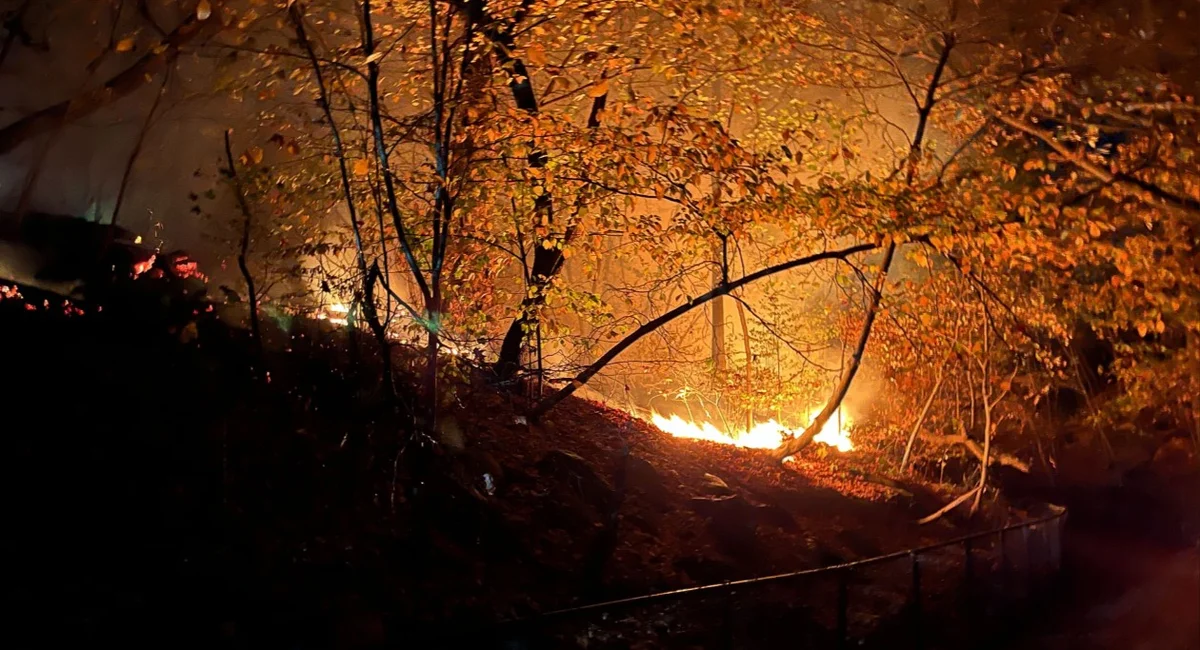 Dry Winds Fuel Expansive Wildfires Across NY-NJ Border