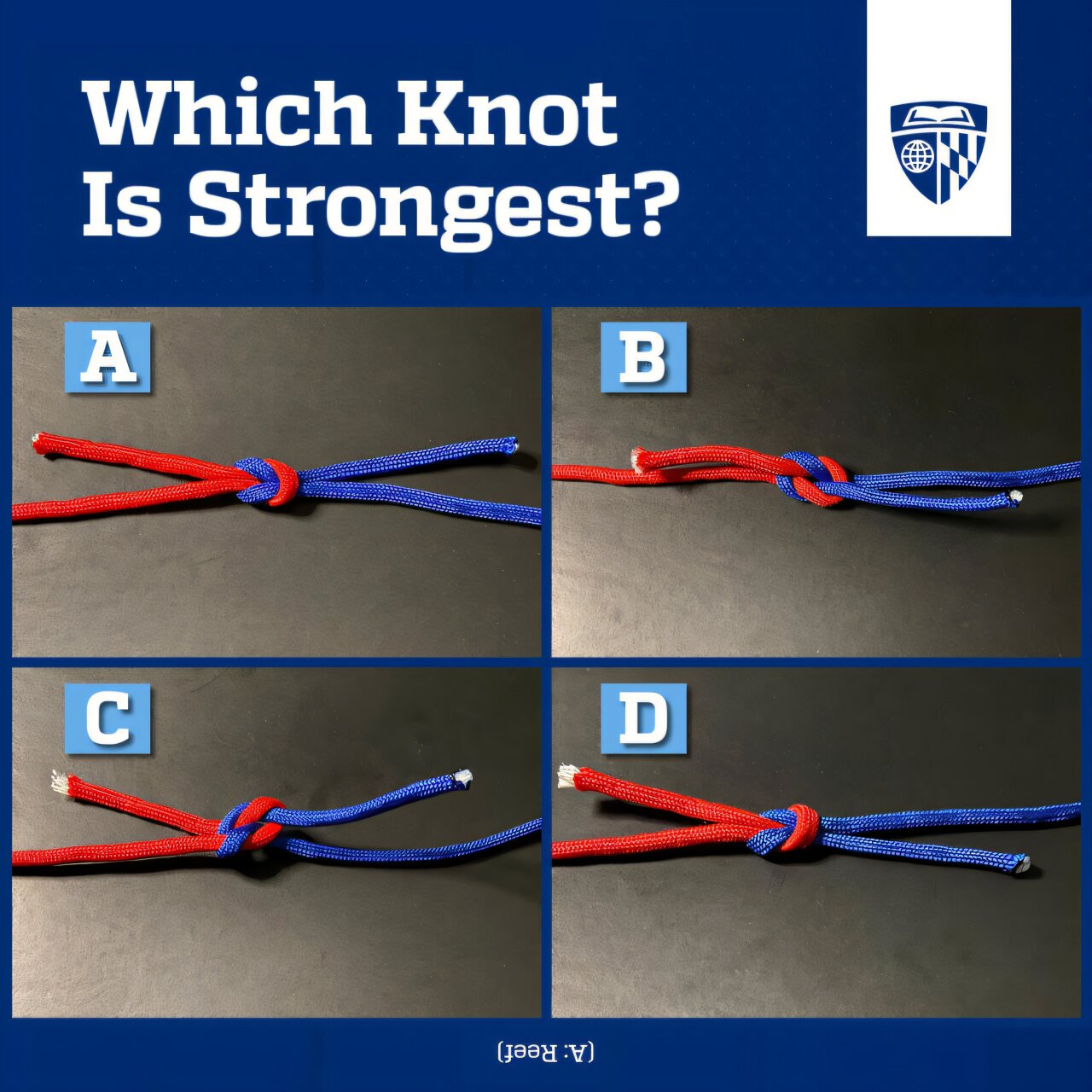 Featured image for The Knot Conundrum: Why We Misjudge Knot Strength