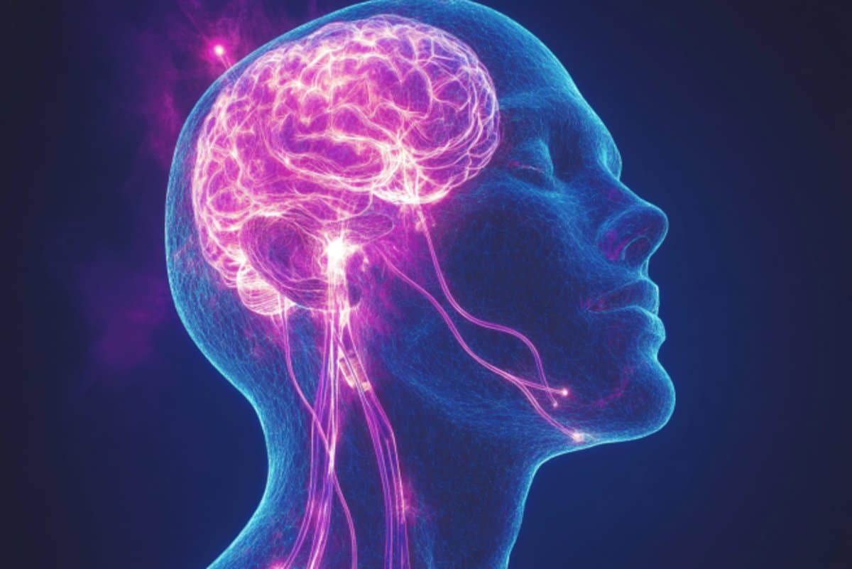 Featured image for Facial and Neck Stimulation Enhances Brain Waste Clearance and Cognitive Health