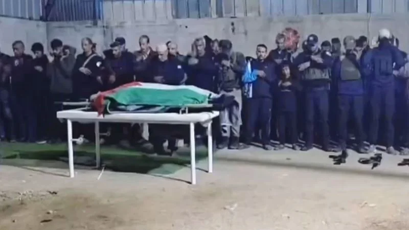 Gangs Compete to Fill Power Vacuum in Gaza