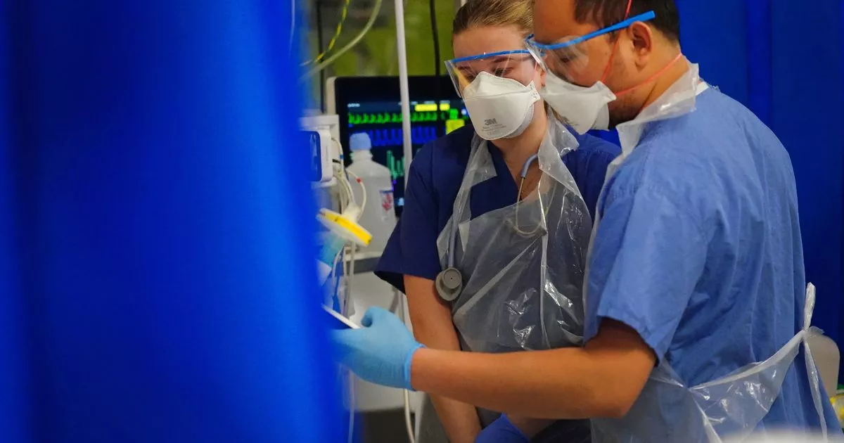 Featured image for "Unveiling Silent Organ Damage: Key Insights into Long COVID"