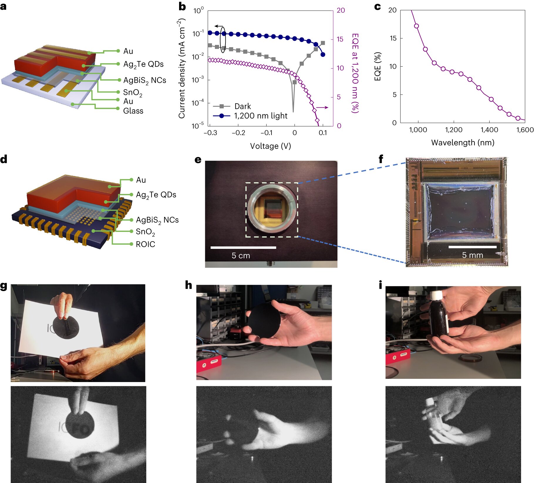 Featured image for "Advancements in Non-Toxic Quantum Dots Revolutionize Consumer Infrared Imaging"