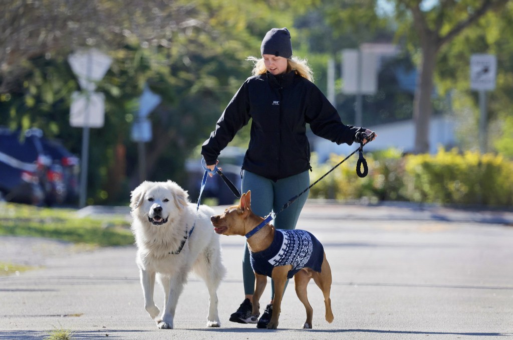 Featured image for "Chilly Forecast: South Florida Braces for New Cold Front"