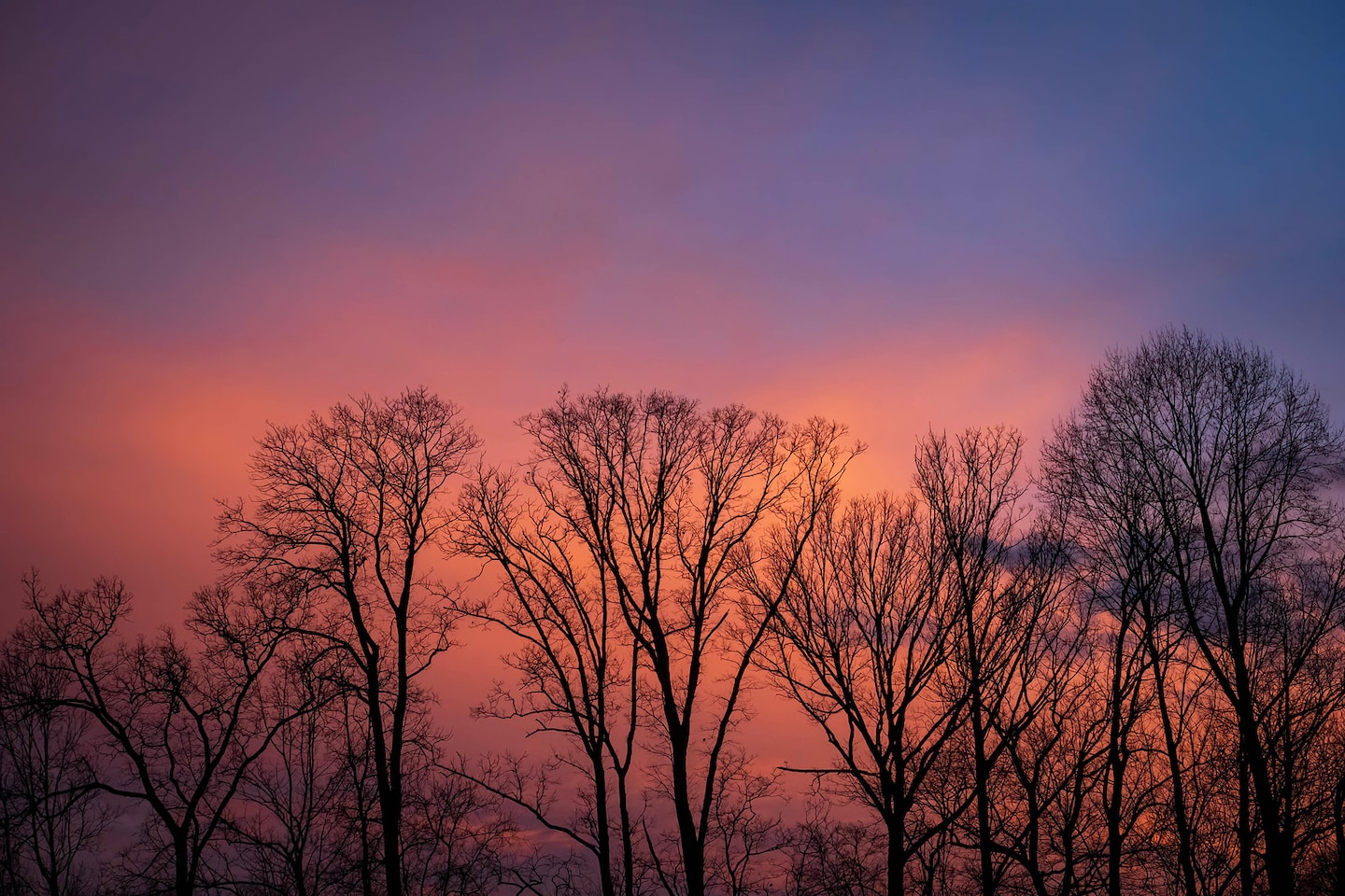 "Record-Breaking Weather: D.C. Hits 80 Degrees in January After Snowstorm"